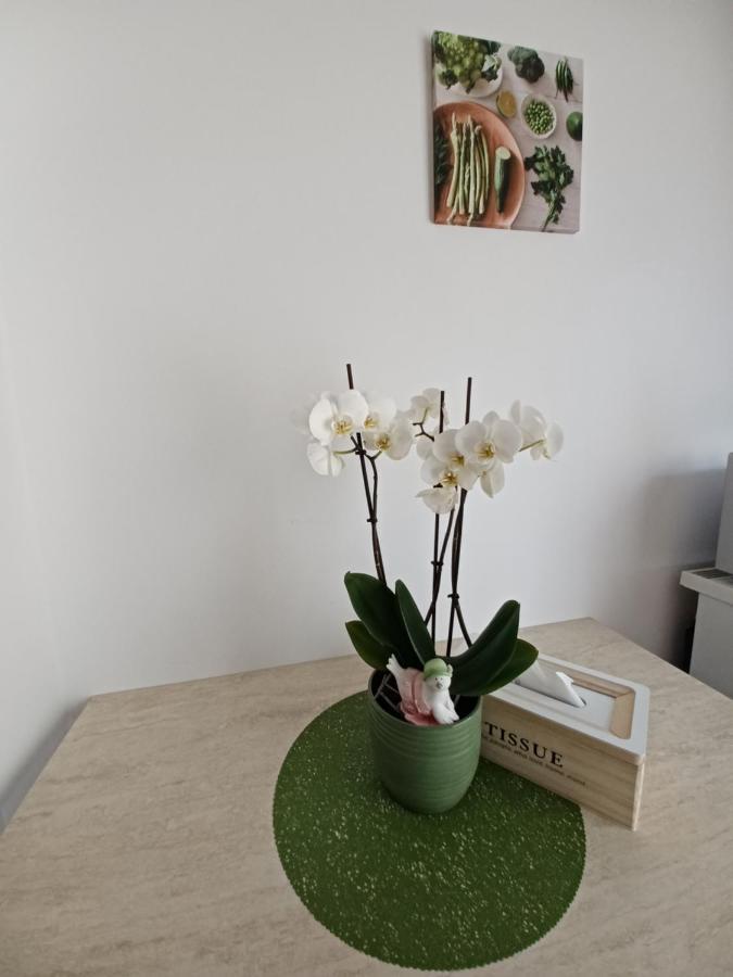 Angel Apartament Sibiu Esterno foto